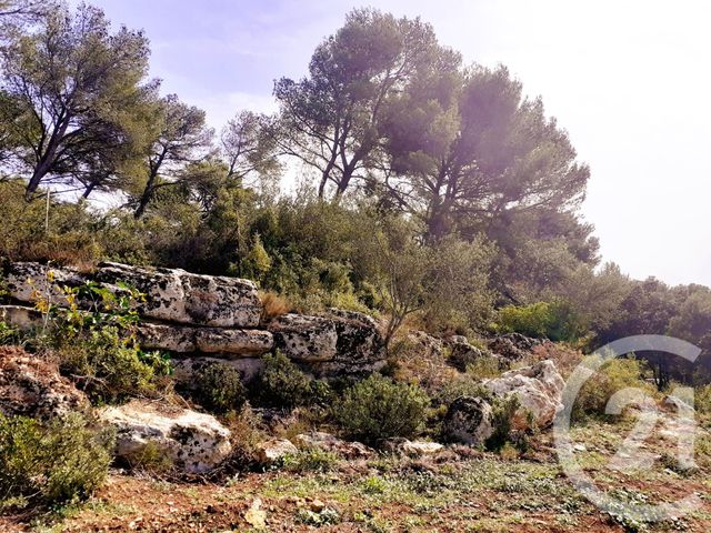 terrain à vendre - 548.0 m2 - ISTRES - 13 - PROVENCE-ALPES-COTE-D-AZUR - Century 21 Cabinet Corvaja