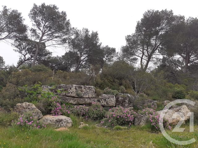 terrain à vendre - 548.0 m2 - ISTRES - 13 - PROVENCE-ALPES-COTE-D-AZUR - Century 21 Cabinet Corvaja