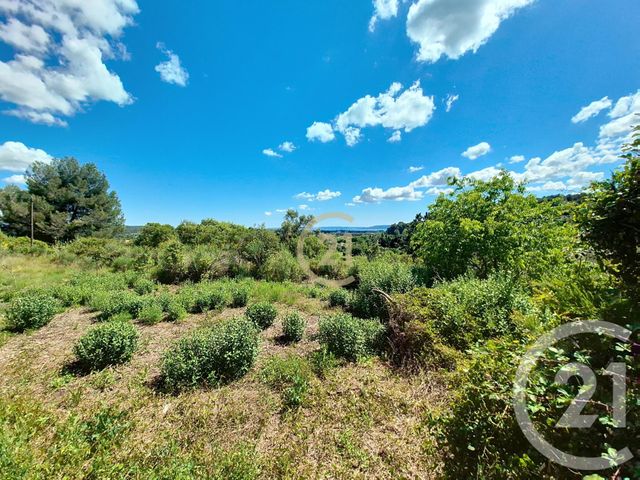 terrain à vendre - 3958.0 m2 - ST CHAMAS - 13 - PROVENCE-ALPES-COTE-D-AZUR - Century 21 Cabinet Corvaja