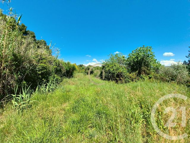 terrain à vendre - 3958.0 m2 - ST CHAMAS - 13 - PROVENCE-ALPES-COTE-D-AZUR - Century 21 Cabinet Corvaja