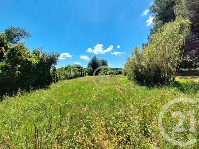 terrain à vendre - 3958.0 m2 - ST CHAMAS - 13 - PROVENCE-ALPES-COTE-D-AZUR - Century 21 Cabinet Corvaja
