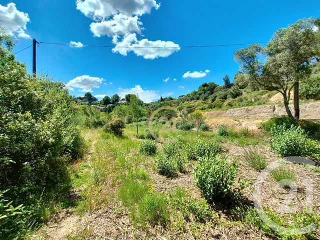 terrain à vendre - 3958.0 m2 - ST CHAMAS - 13 - PROVENCE-ALPES-COTE-D-AZUR - Century 21 Cabinet Corvaja