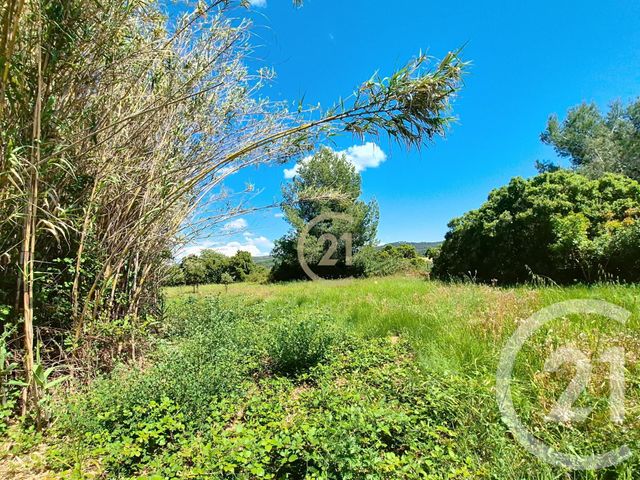 terrain à vendre - 3958.0 m2 - ST CHAMAS - 13 - PROVENCE-ALPES-COTE-D-AZUR - Century 21 Cabinet Corvaja