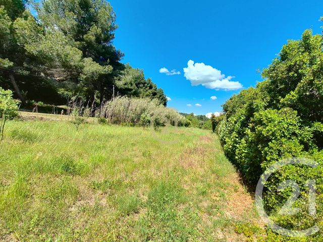 terrain à vendre - 3958.0 m2 - ST CHAMAS - 13 - PROVENCE-ALPES-COTE-D-AZUR - Century 21 Cabinet Corvaja