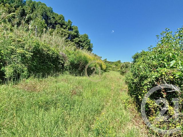 terrain à vendre - 3958.0 m2 - ST CHAMAS - 13 - PROVENCE-ALPES-COTE-D-AZUR - Century 21 Cabinet Corvaja