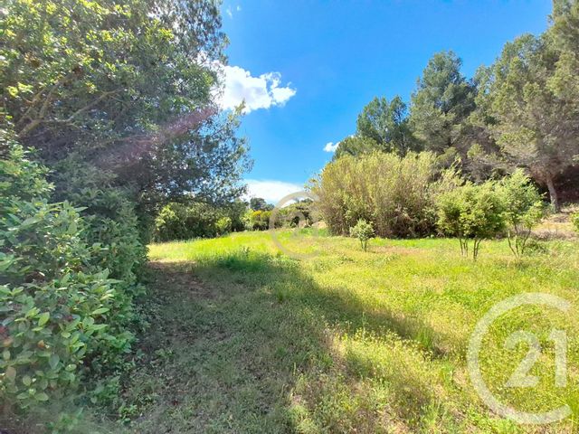 terrain à vendre - 3958.0 m2 - ST CHAMAS - 13 - PROVENCE-ALPES-COTE-D-AZUR - Century 21 Cabinet Corvaja