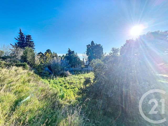 terrain à vendre - 8995.0 m2 - ISTRES - 13 - PROVENCE-ALPES-COTE-D-AZUR - Century 21 Cabinet Corvaja