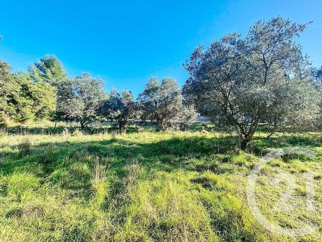 terrain à vendre - 8995.0 m2 - ISTRES - 13 - PROVENCE-ALPES-COTE-D-AZUR - Century 21 Cabinet Corvaja