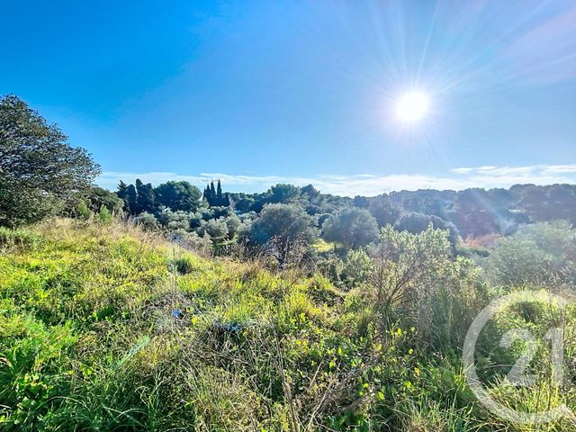 terrain à vendre - 8995.0 m2 - ISTRES - 13 - PROVENCE-ALPES-COTE-D-AZUR - Century 21 Cabinet Corvaja