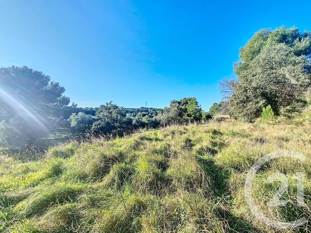 terrain à vendre - 8995.0 m2 - ISTRES - 13 - PROVENCE-ALPES-COTE-D-AZUR - Century 21 Cabinet Corvaja