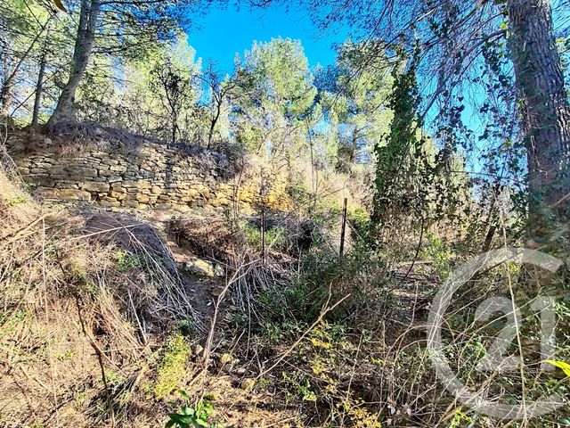 terrain à vendre - 8995.0 m2 - ISTRES - 13 - PROVENCE-ALPES-COTE-D-AZUR - Century 21 Cabinet Corvaja