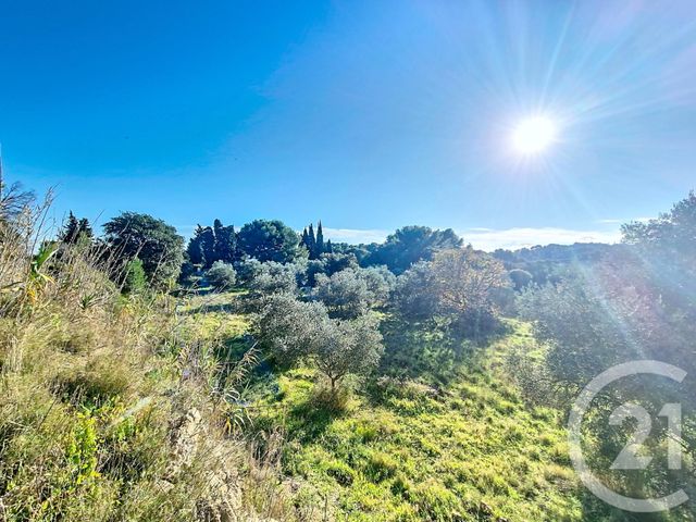 terrain à vendre - 8995.0 m2 - ISTRES - 13 - PROVENCE-ALPES-COTE-D-AZUR - Century 21 Cabinet Corvaja