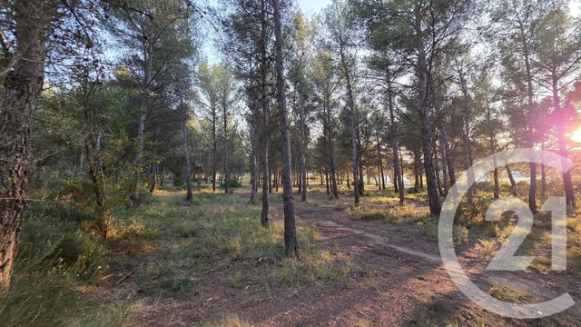 terrain à vendre - 5245.0 m2 - ST MITRE LES REMPARTS - 13 - PROVENCE-ALPES-COTE-D-AZUR - Century 21 Cabinet Corvaja