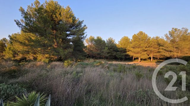 terrain à vendre - 5245.0 m2 - ST MITRE LES REMPARTS - 13 - PROVENCE-ALPES-COTE-D-AZUR - Century 21 Cabinet Corvaja