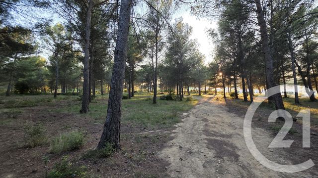 terrain à vendre - 5245.0 m2 - ST MITRE LES REMPARTS - 13 - PROVENCE-ALPES-COTE-D-AZUR - Century 21 Cabinet Corvaja