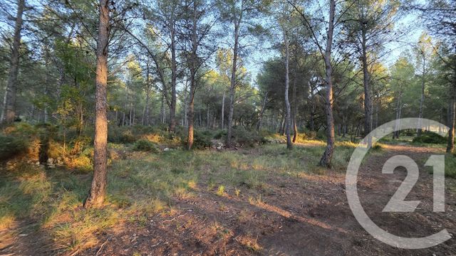 terrain à vendre - 5245.0 m2 - ST MITRE LES REMPARTS - 13 - PROVENCE-ALPES-COTE-D-AZUR - Century 21 Cabinet Corvaja