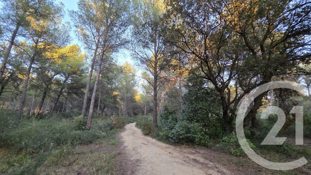 terrain à vendre - 5245.0 m2 - ST MITRE LES REMPARTS - 13 - PROVENCE-ALPES-COTE-D-AZUR - Century 21 Cabinet Corvaja