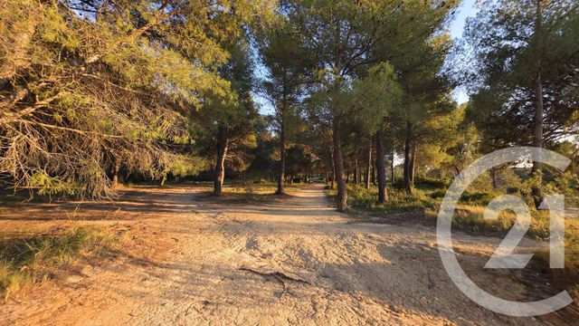 terrain à vendre - 5245.0 m2 - ST MITRE LES REMPARTS - 13 - PROVENCE-ALPES-COTE-D-AZUR - Century 21 Cabinet Corvaja