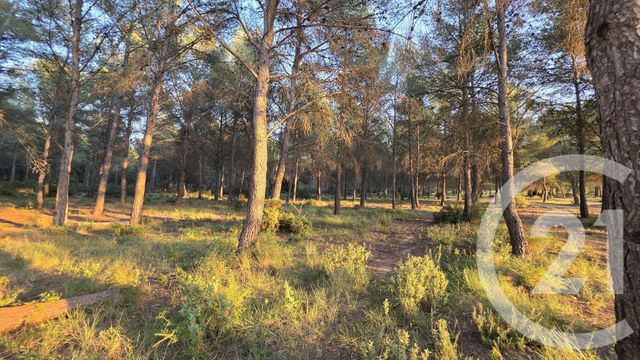 terrain à vendre - 5245.0 m2 - ST MITRE LES REMPARTS - 13 - PROVENCE-ALPES-COTE-D-AZUR - Century 21 Cabinet Corvaja