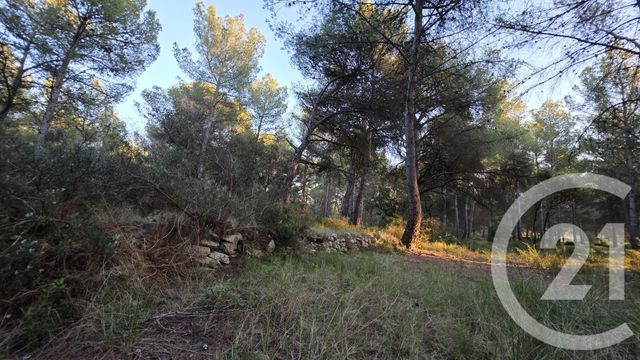 terrain à vendre - 5245.0 m2 - ST MITRE LES REMPARTS - 13 - PROVENCE-ALPES-COTE-D-AZUR - Century 21 Cabinet Corvaja