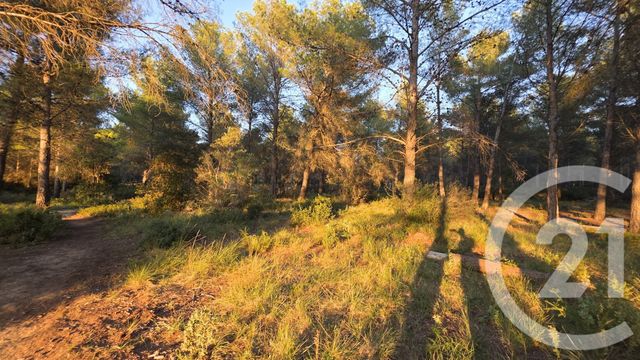 terrain à vendre - 5245.0 m2 - ST MITRE LES REMPARTS - 13 - PROVENCE-ALPES-COTE-D-AZUR - Century 21 Cabinet Corvaja