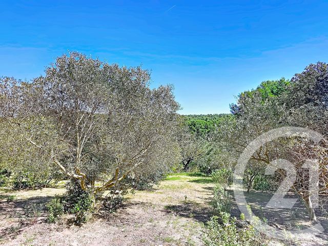 terrain à vendre - 2029.0 m2 - ISTRES - 13 - PROVENCE-ALPES-COTE-D-AZUR - Century 21 Cabinet Corvaja