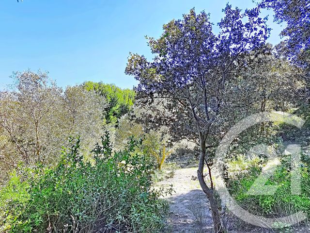 terrain à vendre - 2029.0 m2 - ISTRES - 13 - PROVENCE-ALPES-COTE-D-AZUR - Century 21 Cabinet Corvaja