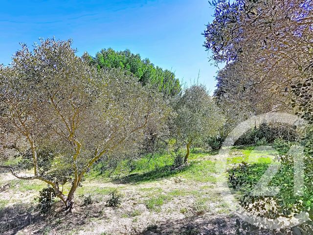 terrain à vendre - 2029.0 m2 - ISTRES - 13 - PROVENCE-ALPES-COTE-D-AZUR - Century 21 Cabinet Corvaja