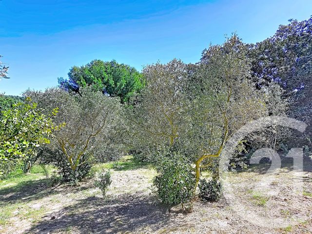 terrain à vendre - 2029.0 m2 - ISTRES - 13 - PROVENCE-ALPES-COTE-D-AZUR - Century 21 Cabinet Corvaja