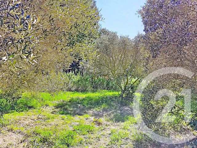 terrain à vendre - 2029.0 m2 - ISTRES - 13 - PROVENCE-ALPES-COTE-D-AZUR - Century 21 Cabinet Corvaja