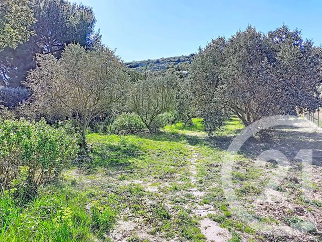 terrain à vendre - 2029.0 m2 - ISTRES - 13 - PROVENCE-ALPES-COTE-D-AZUR - Century 21 Cabinet Corvaja