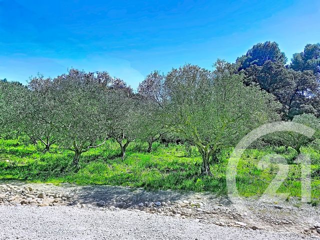 terrain à vendre - 1183.0 m2 - ISTRES - 13 - PROVENCE-ALPES-COTE-D-AZUR - Century 21 Cabinet Corvaja