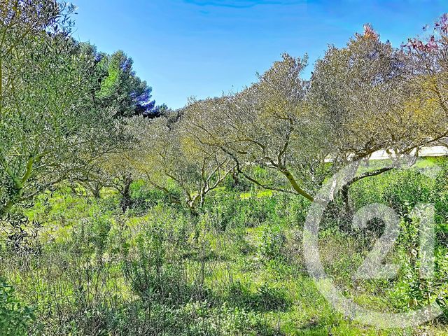 terrain à vendre - 1183.0 m2 - ISTRES - 13 - PROVENCE-ALPES-COTE-D-AZUR - Century 21 Cabinet Corvaja
