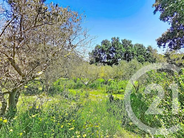 terrain à vendre - 1183.0 m2 - ISTRES - 13 - PROVENCE-ALPES-COTE-D-AZUR - Century 21 Cabinet Corvaja