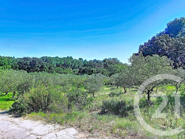 terrain à vendre - 1183.0 m2 - ISTRES - 13 - PROVENCE-ALPES-COTE-D-AZUR - Century 21 Cabinet Corvaja