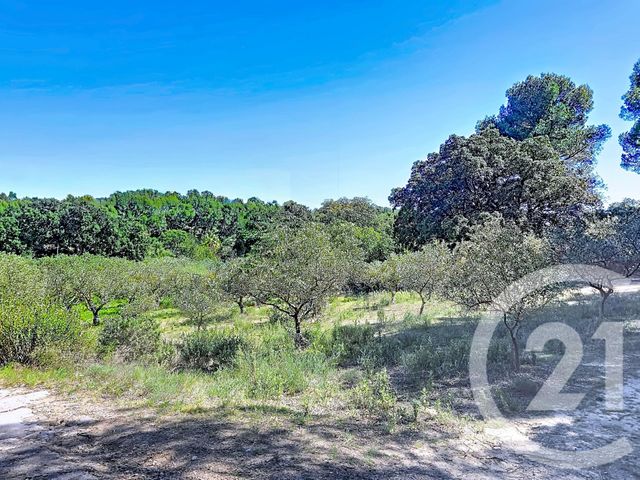 terrain à vendre - 1183.0 m2 - ISTRES - 13 - PROVENCE-ALPES-COTE-D-AZUR - Century 21 Cabinet Corvaja