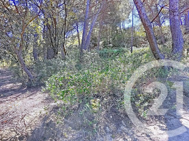 terrain à vendre - 1183.0 m2 - ISTRES - 13 - PROVENCE-ALPES-COTE-D-AZUR - Century 21 Cabinet Corvaja