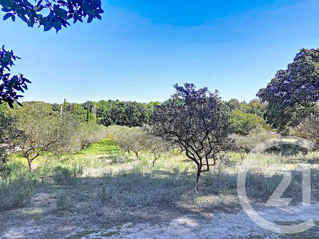 terrain à vendre - 1183.0 m2 - ISTRES - 13 - PROVENCE-ALPES-COTE-D-AZUR - Century 21 Cabinet Corvaja