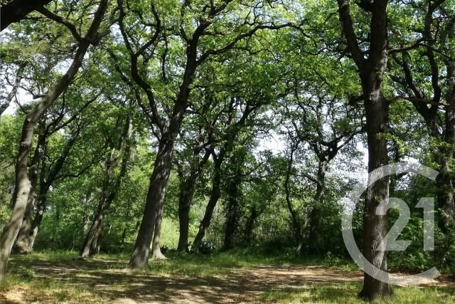 terrain à vendre - 7237.0 m2 - ISTRES - 13 - PROVENCE-ALPES-COTE-D-AZUR - Century 21 Cabinet Corvaja