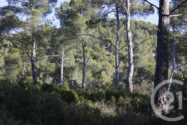 terrain à vendre - 7237.0 m2 - ISTRES - 13 - PROVENCE-ALPES-COTE-D-AZUR - Century 21 Cabinet Corvaja