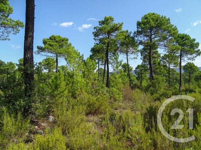 terrain à vendre - 7237.0 m2 - ISTRES - 13 - PROVENCE-ALPES-COTE-D-AZUR - Century 21 Cabinet Corvaja